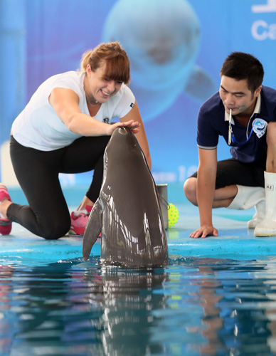 其成功的票 其成功的票