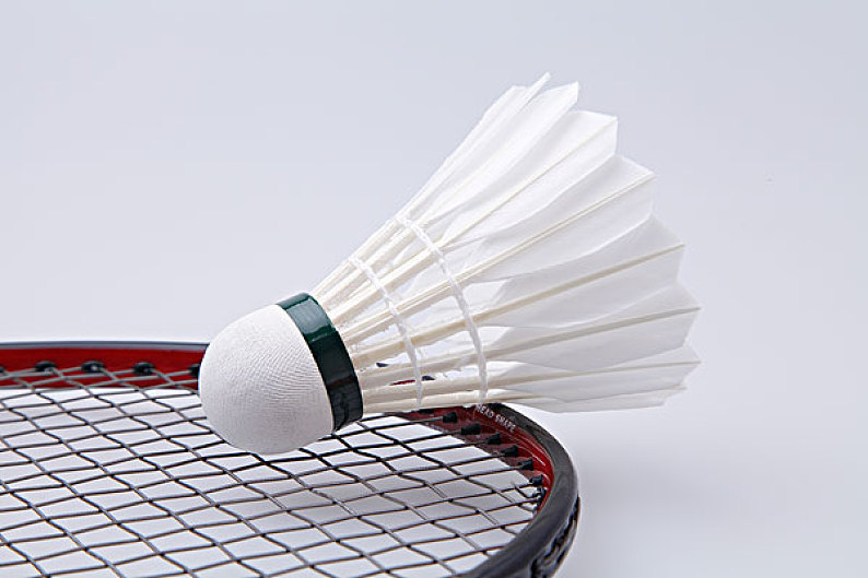 苏纳的失利 苏纳的失利