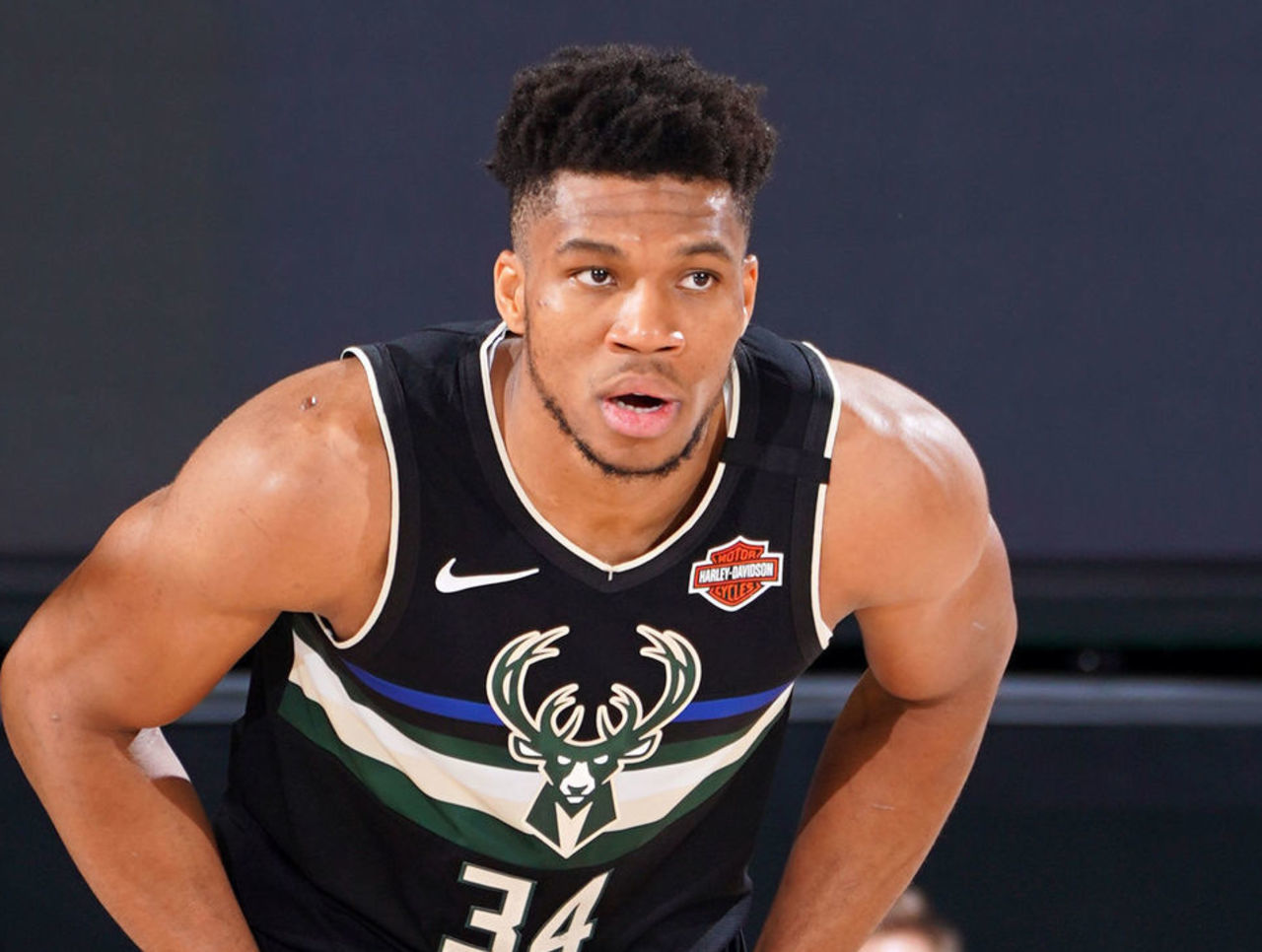 沈阳邀你免 沈阳邀你免